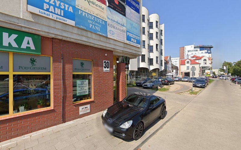 Psychoterapia Parkowa